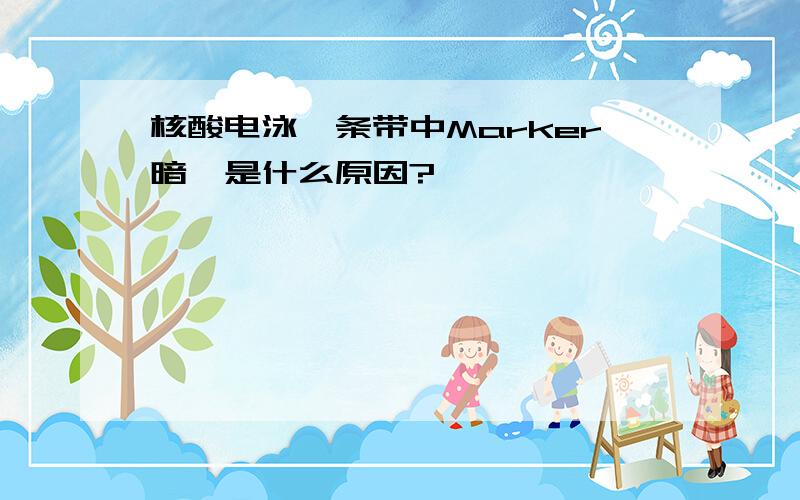 核酸电泳,条带中Marker暗,是什么原因?