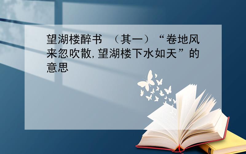 望湖楼醉书 （其一）“卷地风来忽吹散,望湖楼下水如天”的意思