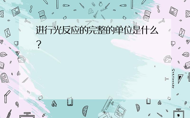 进行光反应的完整的单位是什么？