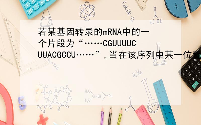 若某基因转录的mRNA中的一个片段为“……CGUUUUCUUACGCCU……”,当在该序列中某一位置添加了一个碱基,则在