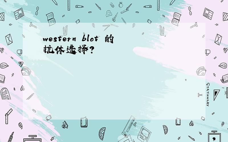 western blot 的抗体选择?