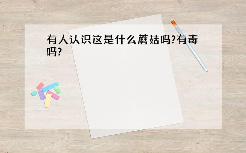 有人认识这是什么蘑菇吗?有毒吗?