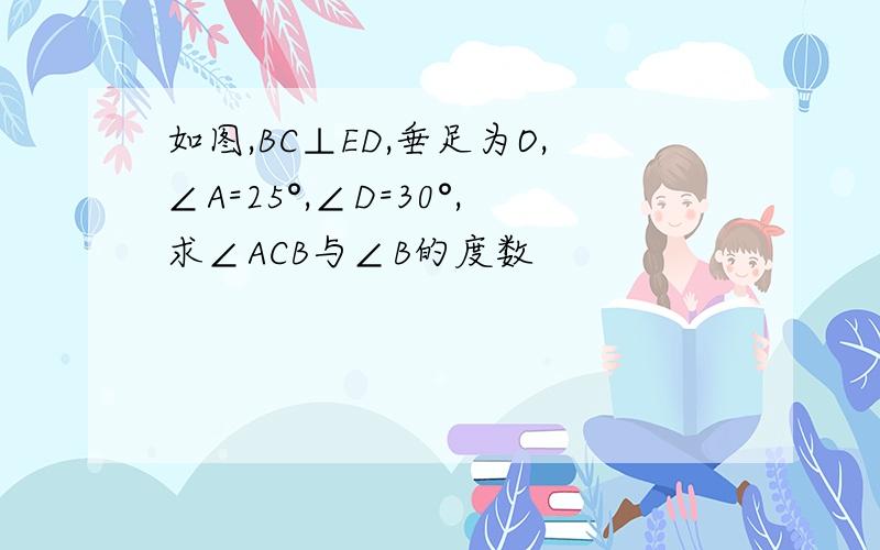 如图,BC⊥ED,垂足为O,∠A=25°,∠D=30°,求∠ACB与∠B的度数