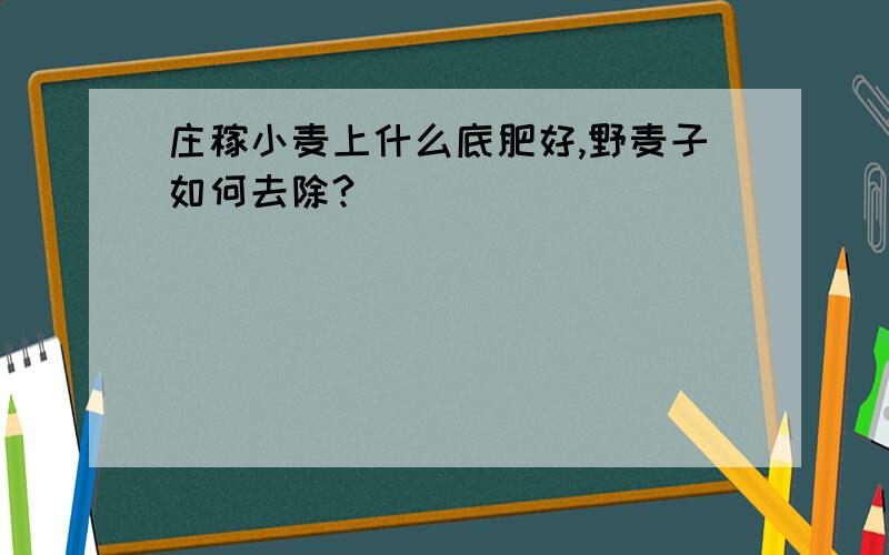 庄稼小麦上什么底肥好,野麦子如何去除?