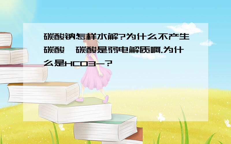 碳酸钠怎样水解?为什么不产生碳酸,碳酸是弱电解质啊.为什么是HCO3-?