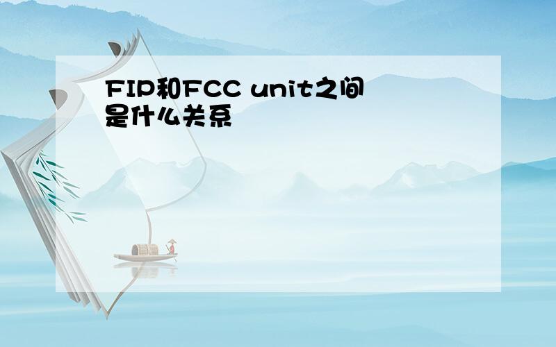 FIP和FCC unit之间是什么关系