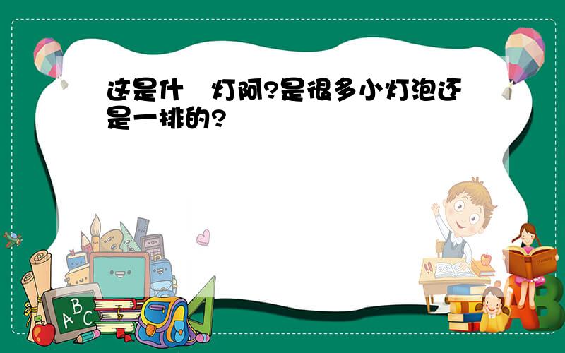 这是什麼灯阿?是很多小灯泡还是一排的?