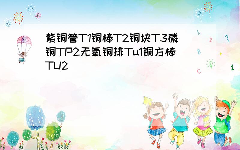 紫铜管T1铜棒T2铜块T3磷铜TP2无氧铜排Tu1铜方棒TU2