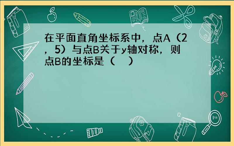 在平面直角坐标系中，点A（2，5）与点B关于y轴对称，则点B的坐标是（　　）