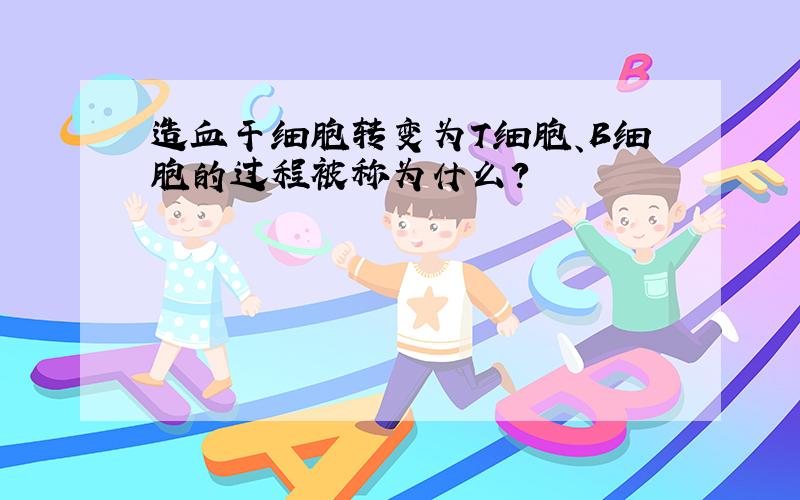 造血干细胞转变为T细胞、B细胞的过程被称为什么?