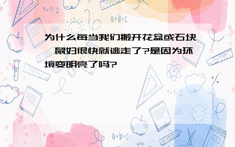 为什么每当我们搬开花盆或石块,鼠妇很快就逃走了?是因为环境变明亮了吗?