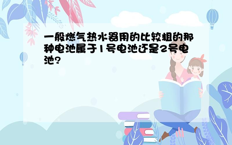 一般燃气热水器用的比较粗的那种电池属于1号电池还是2号电池?