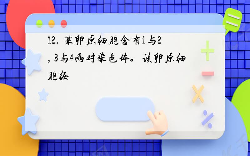 12. 某卵原细胞含有1与2，3与4两对染色体。该卵原细胞经