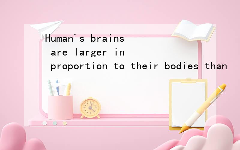 Human's brains are larger in proportion to their bodies than