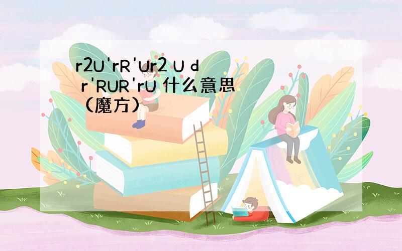 r2U'rR'Ur2 U d r'RUR'rU 什么意思（魔方）