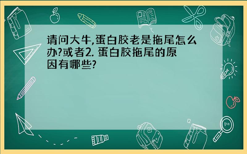 请问大牛,蛋白胶老是拖尾怎么办?或者2. 蛋白胶拖尾的原因有哪些?