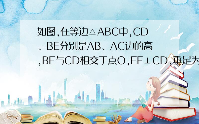 如图,在等边△ABC中,CD、BE分别是AB、AC边的高,BE与CD相交于点O,EF⊥CD,垂足为点F,试探究OF与OC