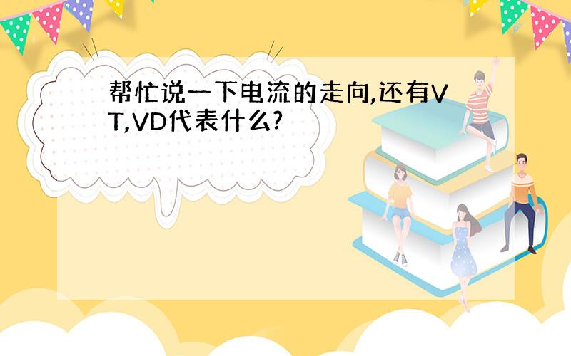 帮忙说一下电流的走向,还有VT,VD代表什么?