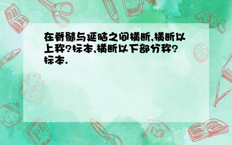 在脊髓与延脑之间横断,横断以上称?标本,横断以下部分称?标本.