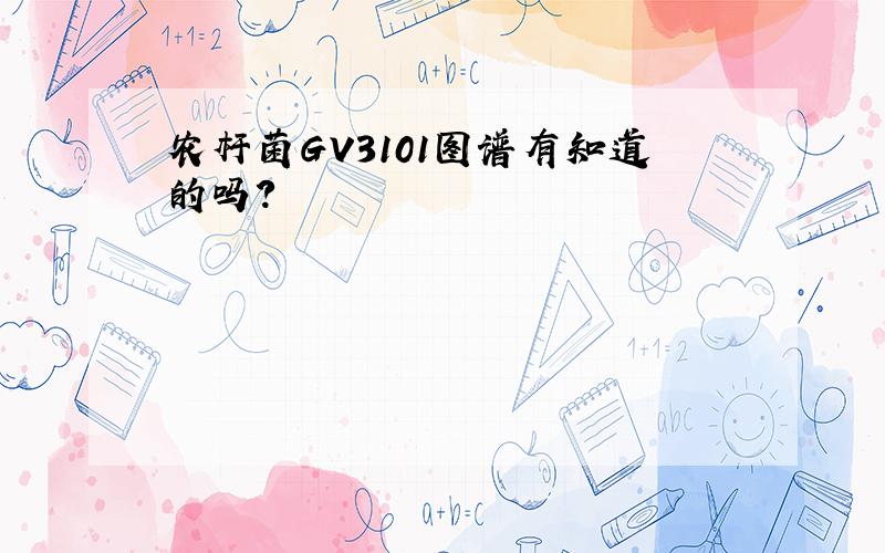 农杆菌GV3101图谱有知道的吗?