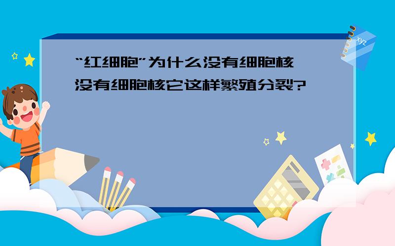 “红细胞”为什么没有细胞核,没有细胞核它这样繁殖分裂?