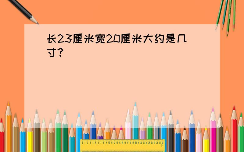 长23厘米宽20厘米大约是几寸?