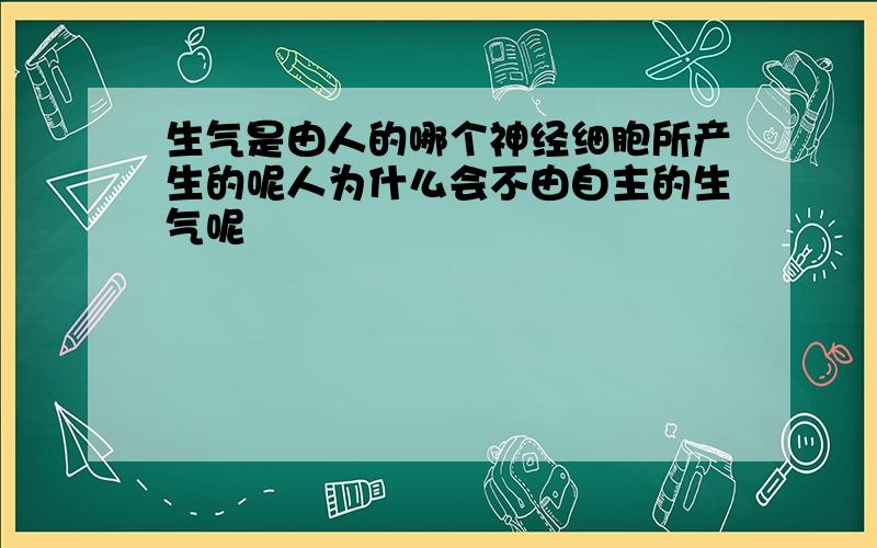 生气是由人的哪个神经细胞所产生的呢人为什么会不由自主的生气呢