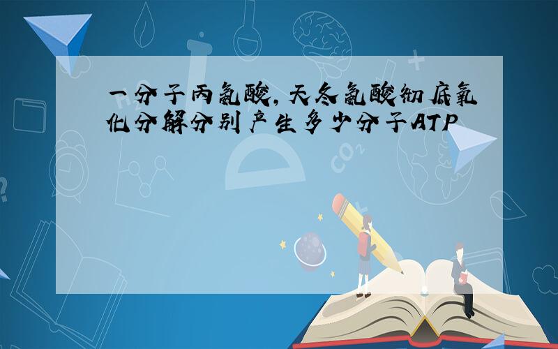 一分子丙氨酸,天冬氨酸彻底氧化分解分别产生多少分子ATP