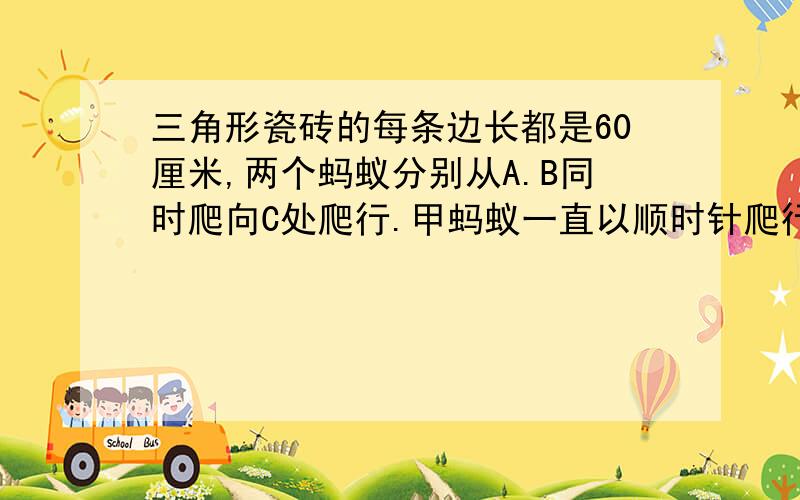 三角形瓷砖的每条边长都是60厘米,两个蚂蚁分别从A.B同时爬向C处爬行.甲蚂蚁一直以顺时针爬行,