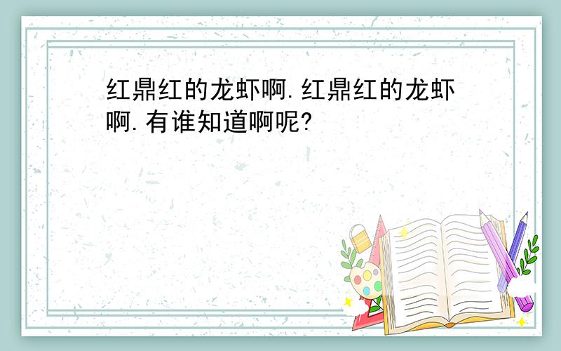 红鼎红的龙虾啊.红鼎红的龙虾啊.有谁知道啊呢?