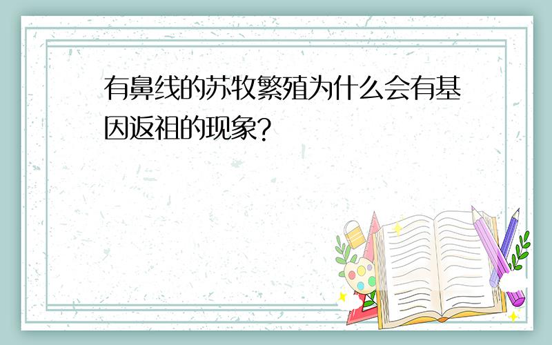 有鼻线的苏牧繁殖为什么会有基因返祖的现象?