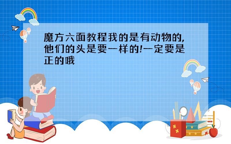 魔方六面教程我的是有动物的,他们的头是要一样的!一定要是正的哦