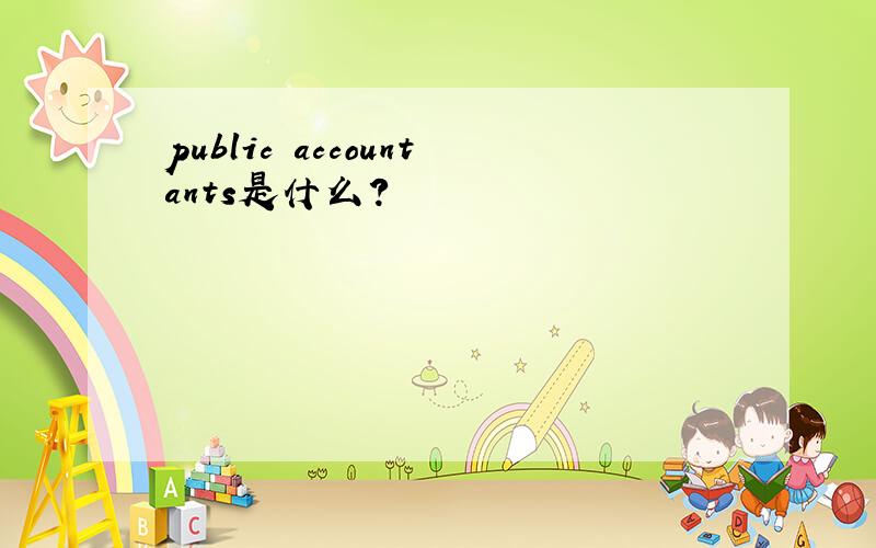 public accountants是什么?