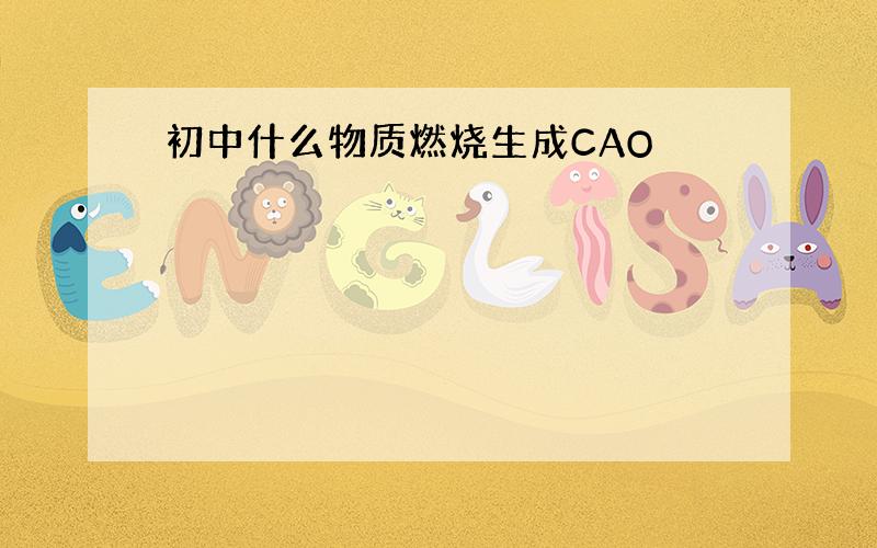 初中什么物质燃烧生成CAO