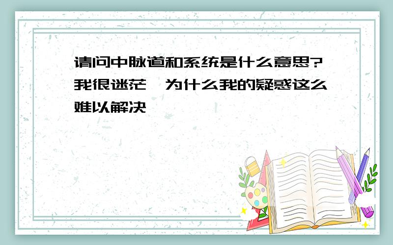 请问中脉道和系统是什么意思?我很迷茫,为什么我的疑惑这么难以解决