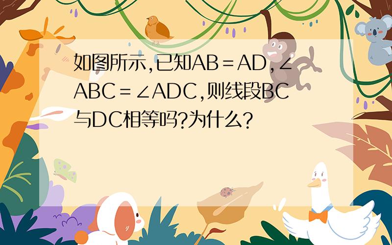 如图所示,已知AB＝AD,∠ABC＝∠ADC,则线段BC与DC相等吗?为什么?