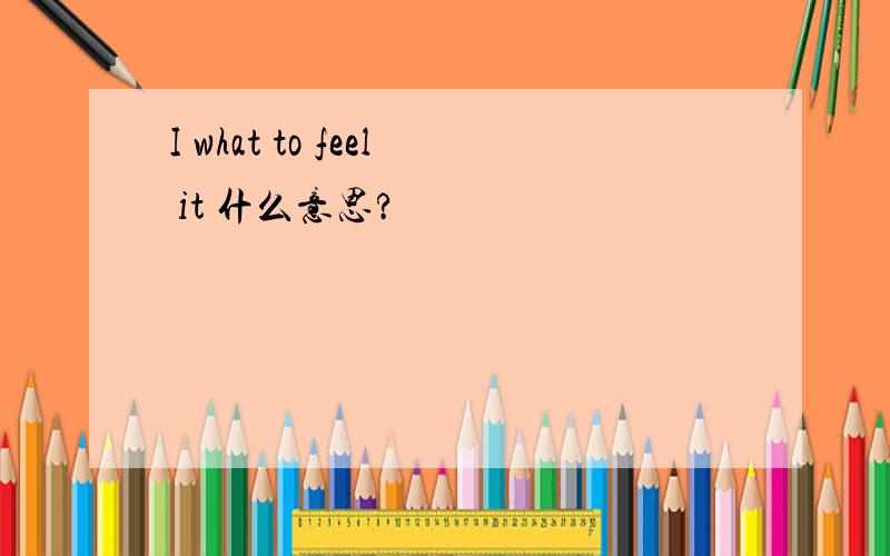 I what to feel it 什么意思?