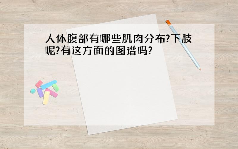 人体腹部有哪些肌肉分布?下肢呢?有这方面的图谱吗?