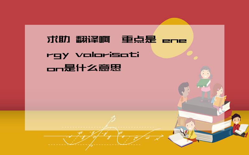 求助 翻译啊,重点是 energy valorisation是什么意思