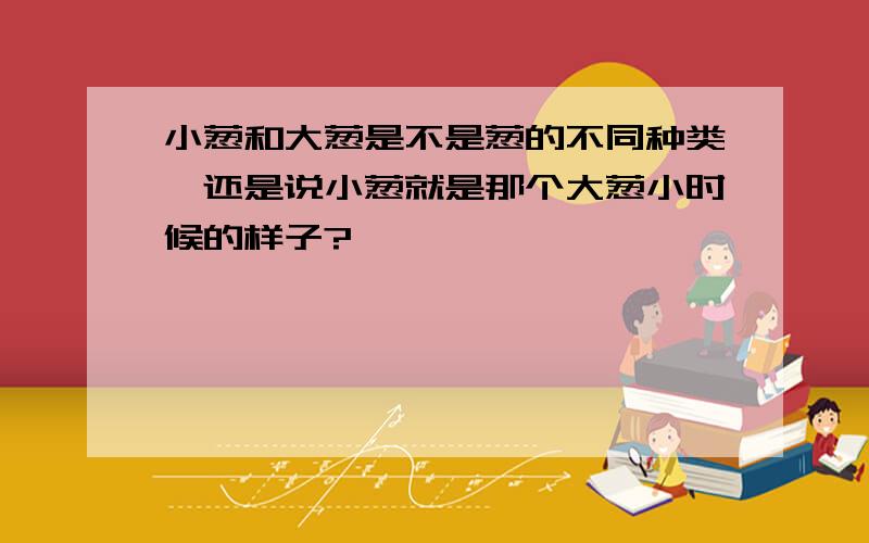 小葱和大葱是不是葱的不同种类,还是说小葱就是那个大葱小时候的样子?