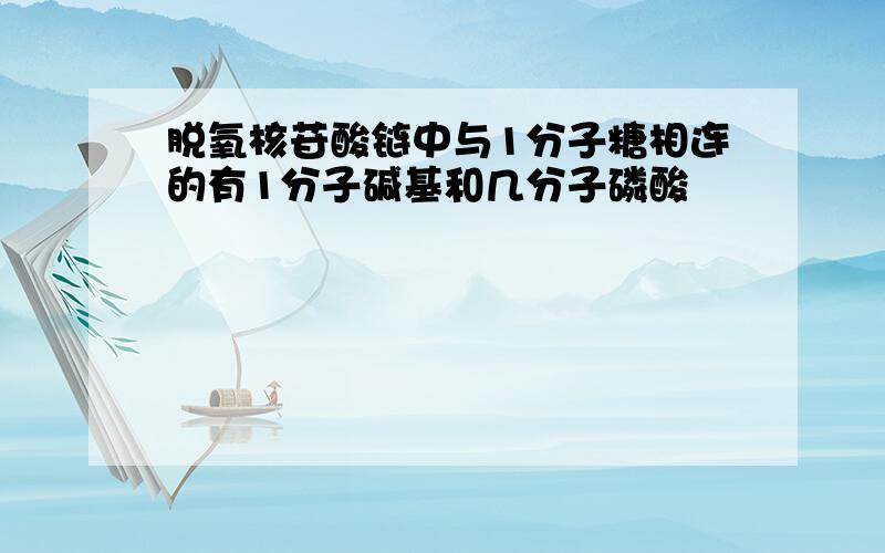 脱氧核苷酸链中与1分子糖相连的有1分子碱基和几分子磷酸