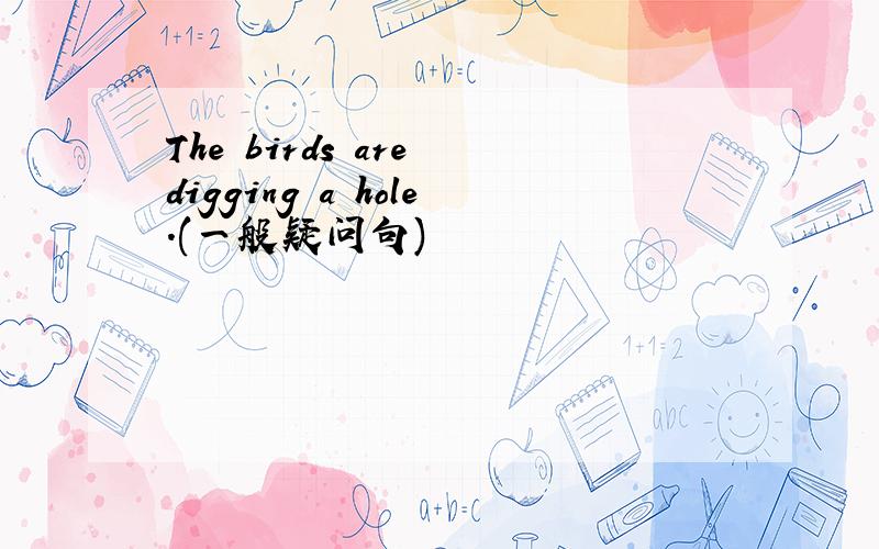 The birds are digging a hole.(一般疑问句)