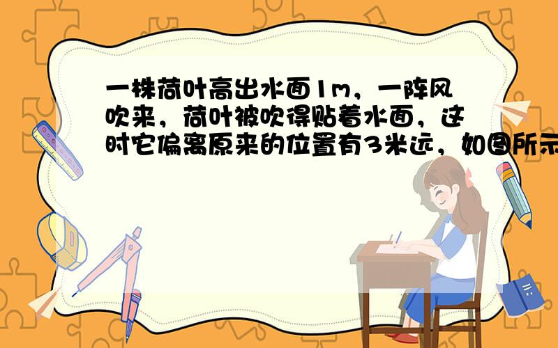 一株荷叶高出水面1m，一阵风吹来，荷叶被吹得贴着水面，这时它偏离原来的位置有3米远，如图所示，求荷叶的高度和水面的深度．