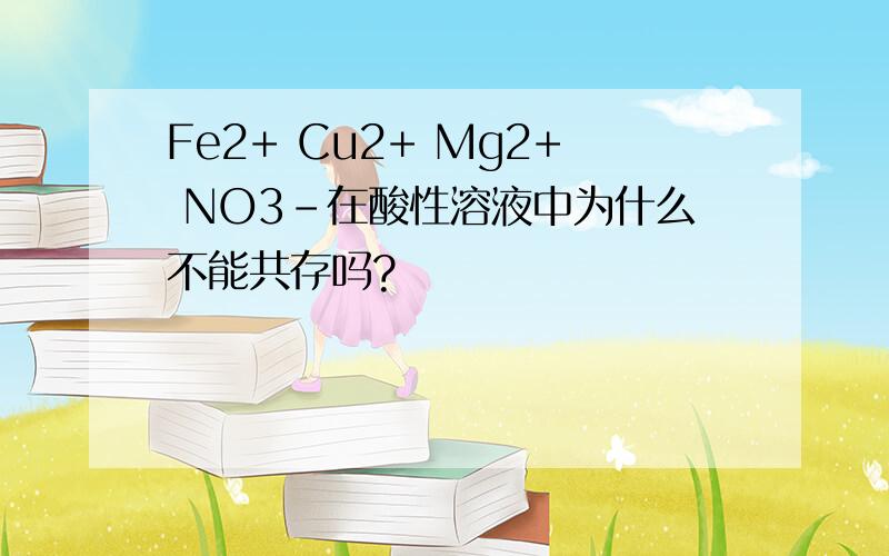 Fe2+ Cu2+ Mg2+ NO3-在酸性溶液中为什么不能共存吗?