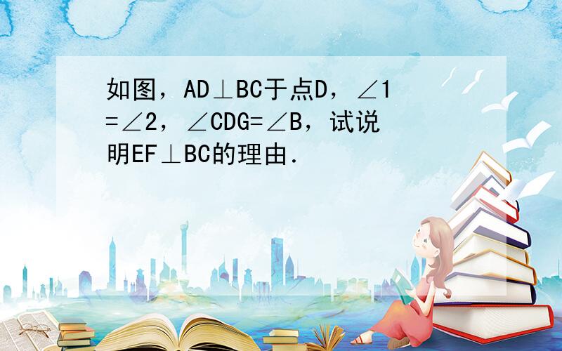 如图，AD⊥BC于点D，∠1=∠2，∠CDG=∠B，试说明EF⊥BC的理由．