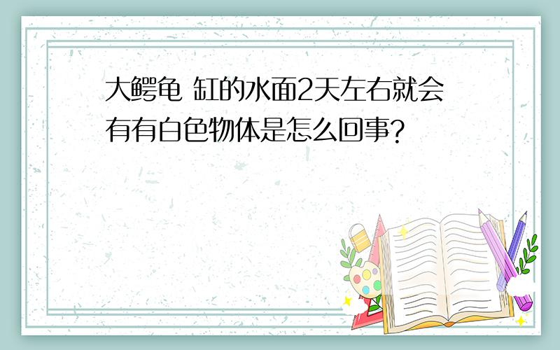 大鳄龟 缸的水面2天左右就会有有白色物体是怎么回事?