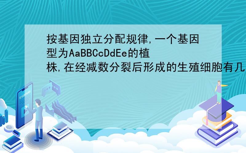 按基因独立分配规律,一个基因型为AaBBCcDdEe的植株,在经减数分裂后形成的生殖细胞有几种?