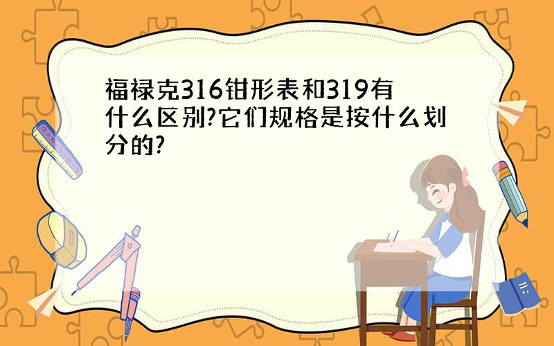 福禄克316钳形表和319有什么区别?它们规格是按什么划分的?