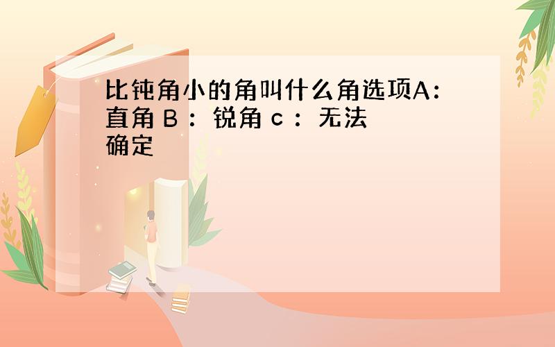 比钝角小的角叫什么角选项A：直角 B ：锐角 c ：无法确定