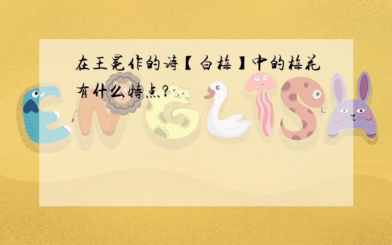 在王冕作的诗【白梅】中的梅花有什么特点?